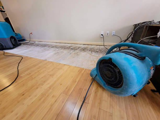 Professional Flood Damage Cleanup technician working in Alamo, CA